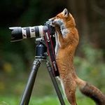 Andy Higham - @higham.andy - Instagram