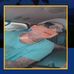 Andy M Hintz - Facebook