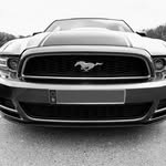 Mustang S197 - @andy.hintze - Instagram