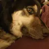 andyhodson268 - @andyhodson268 - TikTok