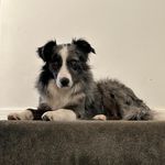Andy Ingram - @wynd115 - Instagram