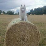 Andy Ingram - @andy.ingram2 - Instagram