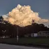 andyingram57 - @andy.ingram55 - TikTok