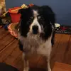 angry viking - @andyinnes7173 - TikTok