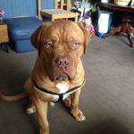 Andy Irvine - @airvine78 - Instagram