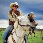 Andy Irvine - @andy_irvine_bass_mules_life - Instagram