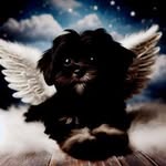 Andy Irwin - @lalala12345623 - Instagram