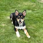 Andy Irwin - @andy.irwin.399 - Instagram