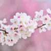 Andy jack - @andy.jack64 - TikTok