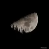 Andy Jackson - @andy_lioncub - TikTok