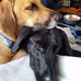 Andy Janssen - Facebook