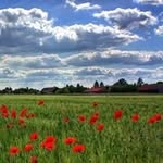 Andy Jeon - @kschun98 - Instagram