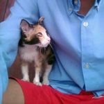 Andy - @andy_kandangan - Instagram