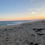 Andy Kaufman - @andykaufman5 - Instagram