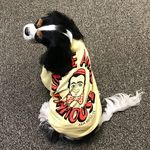 AndyKaufman_TheCav - @andykaufman_thecav - Instagram