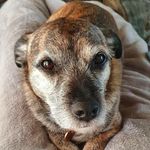 Andy Kemp - @andy.kemp.524 - Instagram