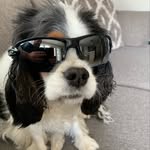 Andy Kemp - @andykemp35 - Instagram