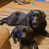 user3355803333182 - @andy_kemp6 - TikTok