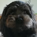 Andy Kendall - @andy.kendall.754 - Instagram