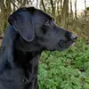 andykendall597 - @andykendall597 - TikTok