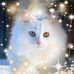 Andy Khor - Facebook