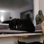 Andy Klatt - @klatt_und_klemmt_kochstudio - Instagram