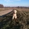 andykluge - @andykluge - TikTok