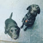Andy Knudsen - @theknuds - Instagram
