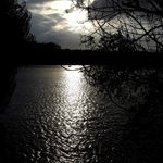 Andy Koch - @andy.koch.12720 - Instagram