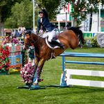 Andy Kocher Show Jumpers - @andykochershowjumpers - Instagram