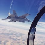 Andy Kohl - @reissmeow - Instagram