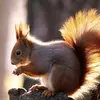 Andy Kowalski - @andy.kowalski7 - TikTok