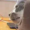 Andy kowalski - @clodan2021 - TikTok