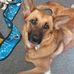 Andrea Kretschmer - Facebook