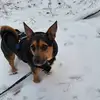 Andy Kretschmer - @andy.kretschmer - TikTok