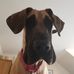 Andy Kyle - Facebook