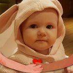 Andy Elvis Laing - @elvisthepostie - Instagram