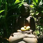 Andy Laing - @pezomatic66 - Instagram