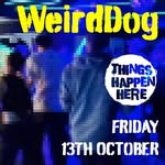 Andy Lake - @weirddogmusic - Instagram