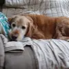 Andy Lake - @andy.lake1 - TikTok