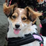 Andy laker - @lakerandy3404 - Instagram