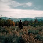 Andy DeAngelo - @andy__land - Instagram