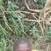 Andy C Langat Langat - Facebook