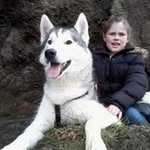 Andy Laurie - @alaurie72 - Instagram