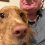 Andy Lawson - @andy.lawson.5015 - Instagram