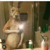 ANDY LEVI😎😎 - @joel.garcia107 - TikTok