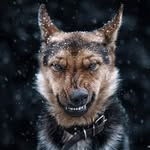 Andy Levin - @n0_grav1ty412 - Instagram