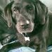 Andrew Liddiard - Facebook