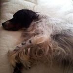 Andy - @andy_liebald - Instagram