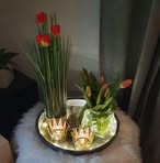 Andrea Lilienthal - Facebook